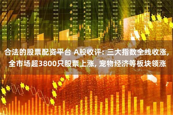 合法的股票配资平台 A股收评: 三大指数全线收涨, 全市场超3800只股票上涨, 宠物经济等板块领涨